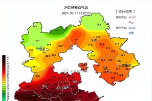 克洛普：若塔对比赛的理解是不同层面的 麦卡利斯特有望参加合练